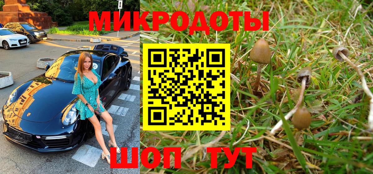 Псилоцибиновые грибы Cubensis  Вход с VPN  Ипатово 