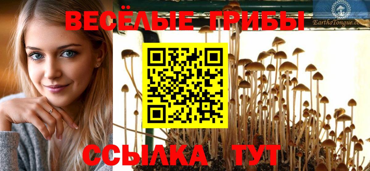  Cocaine Ипатово